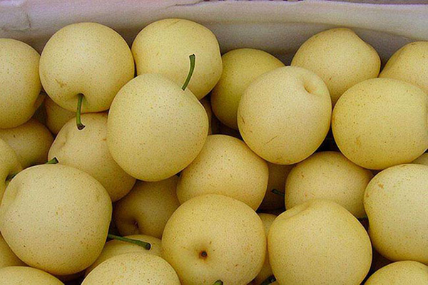 ����ɽ�ƻ��桱�ɹ�ע�������־֤���̱꣬����������˷�չ�������̱�������ô��