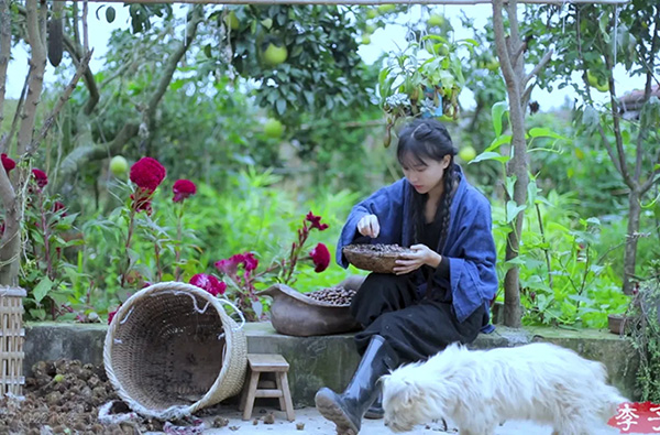 �������⡱���̱���Ȩ���װ��ٶȡ��ߺ족������7Ԫ������Ϊ�������̱�����Ų�ѯ����