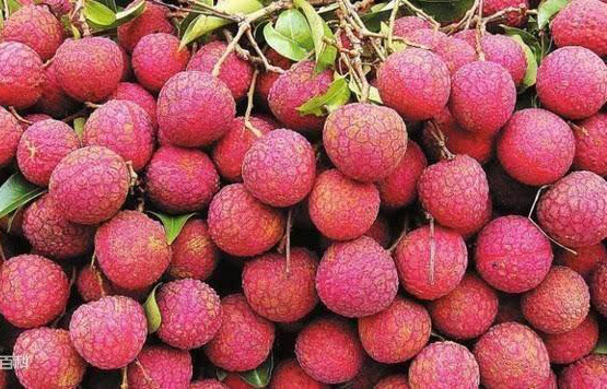 ��ƽ��������֦����ù��ҵ�����־֤���̱���֤������ũ�羭�÷�չ�������̱�ת����